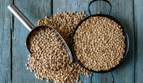 Captura de pantalla 2025-07-14 204715 Lenteja nacional