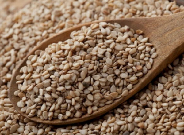 Captura de pantalla 2026-03-08 221924 Sesamo integral